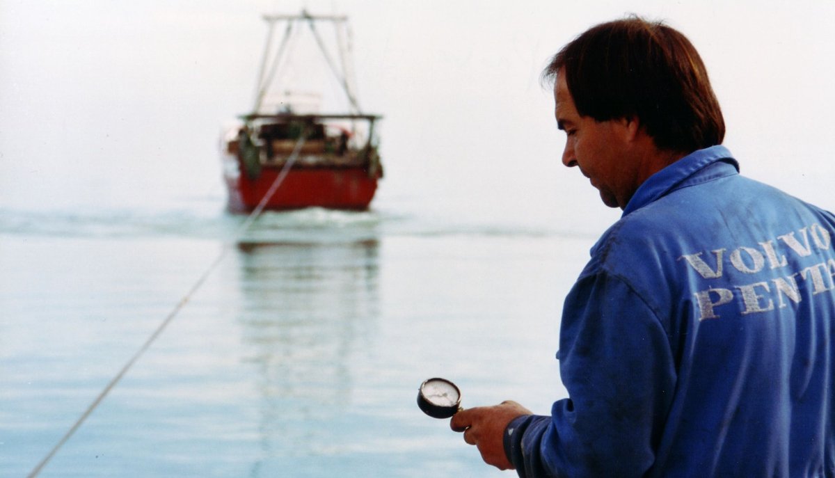 Imagen de Capitol 5 - 1989